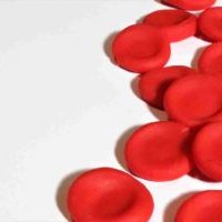 blood-cells-uscis clinic