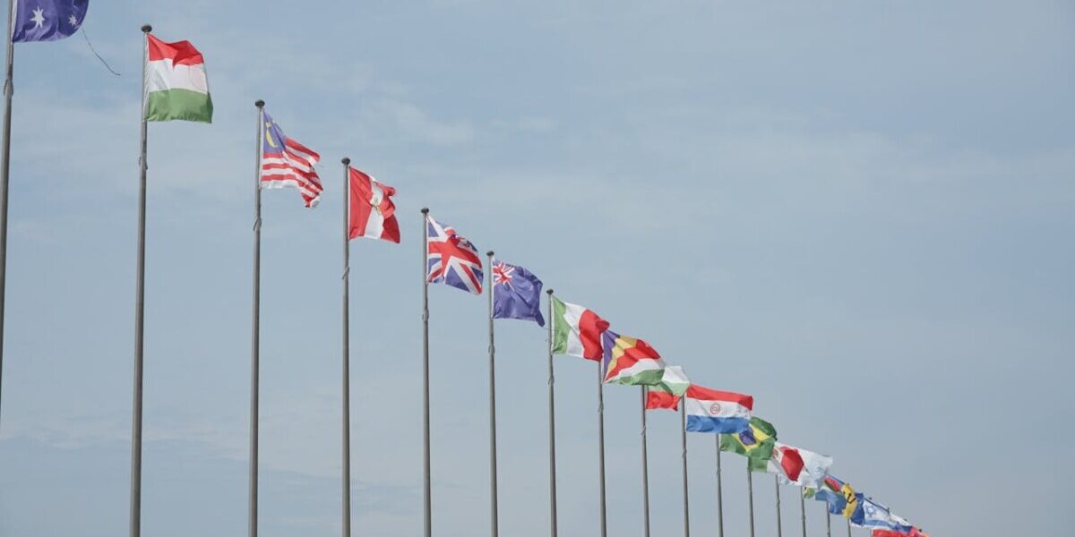 uscis clinic neema malhotra md Flags