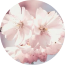 Jaepril M Avatar